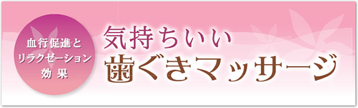血行促進とリラクゼーション効果・気持ちいい歯ぐきマッサージ